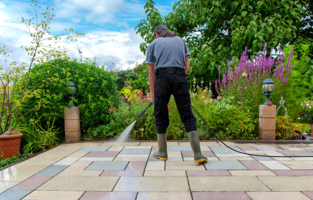 Best Animal Enclosure Cleaning  in Albion, PA