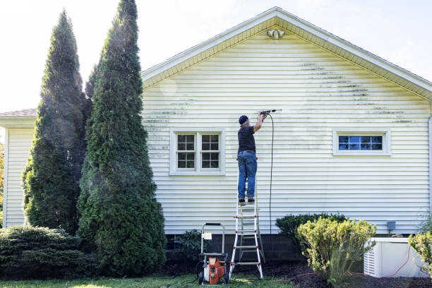 Best Driveway Pressure Washing  in Albion, PA